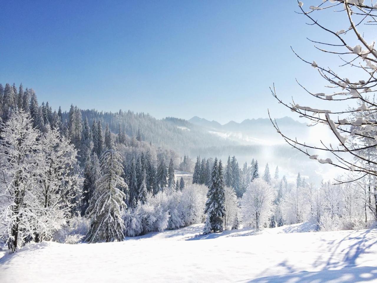 Na Kosnych Daire Poronin Dış mekan fotoğraf